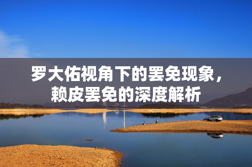 罗大佑视角下的罢免现象，赖皮罢免的深度解析