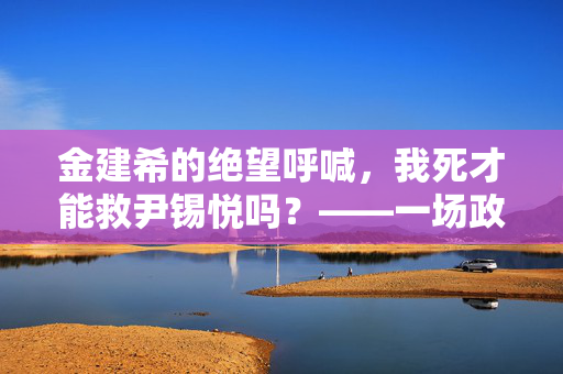 金建希的绝望呼喊，我死才能救尹锡悦吗？——一场政治风暴中的伦理与人性探讨