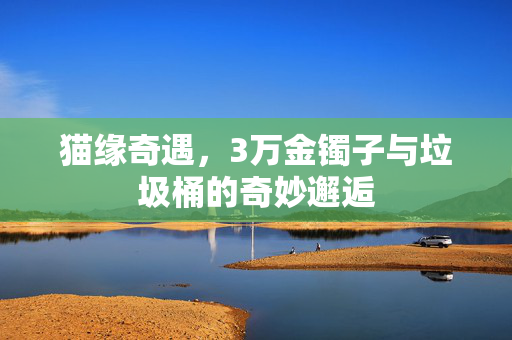 猫缘奇遇，3万金镯子与垃圾桶的奇妙邂逅