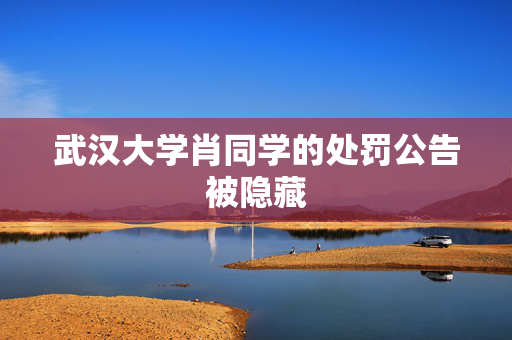 武汉大学肖同学的处罚公告被隐藏