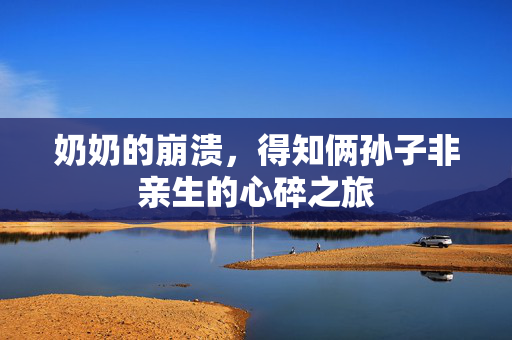 奶奶的崩溃，得知俩孙子非亲生的心碎之旅