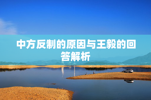 中方反制的原因与王毅的回答解析