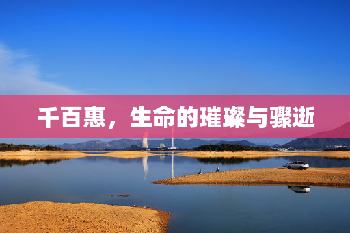 千百惠，生命的璀璨与骤逝