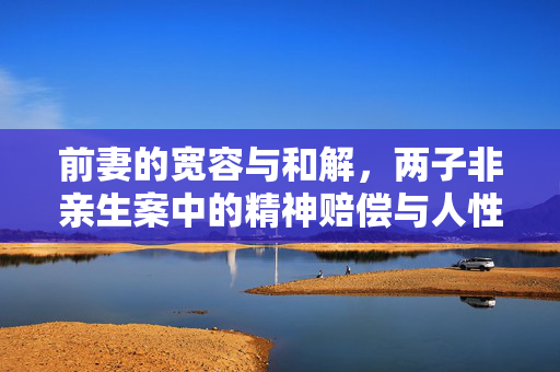 前妻的宽容与和解，两子非亲生案中的精神赔偿与人性光辉