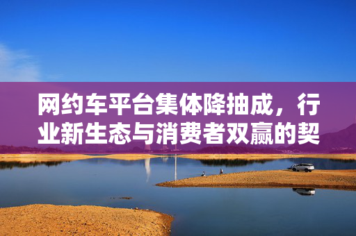 网约车平台集体降抽成，行业新生态与消费者双赢的契机