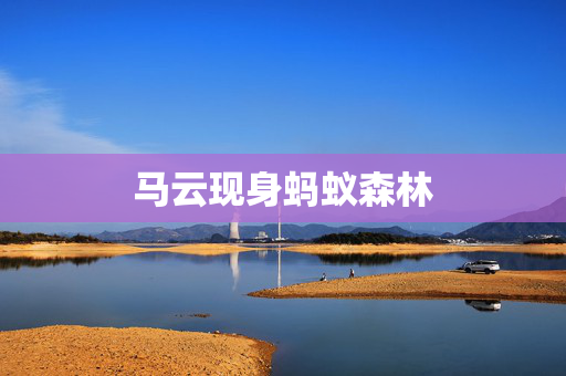马云现身蚂蚁森林