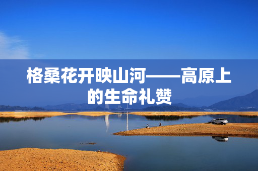 格桑花开映山河——高原上的生命礼赞