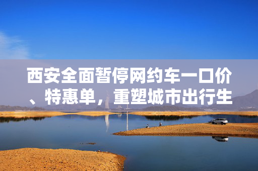西安全面暂停网约车一口价、特惠单，重塑城市出行生态的背后考量
