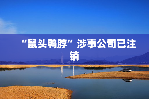“鼠头鸭脖”涉事公司已注销
