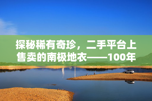 探秘稀有奇珍，二手平台上售卖的南极地衣——100年仅长1毫米的自然奇迹