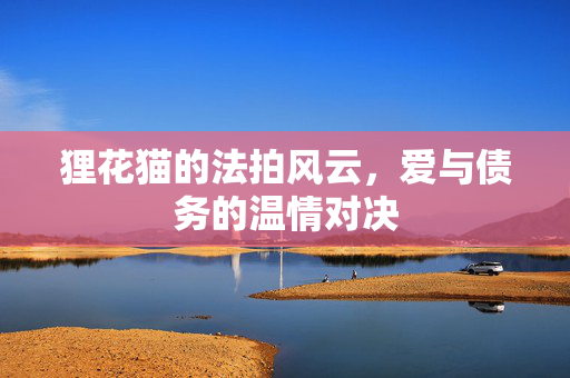 狸花猫的法拍风云，爱与债务的温情对决
