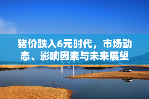 猪价跌入6元时代，市场动态、影响因素与未来展望