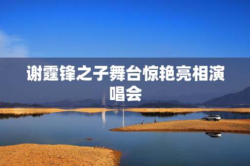 谢霆锋之子舞台惊艳亮相演唱会