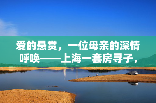 爱的悬赏，一位母亲的深情呼唤——上海一套房寻子，六代单传的家族期盼