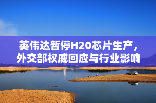 英伟达暂停H20芯片生产，外交部权威回应与行业影响分析
