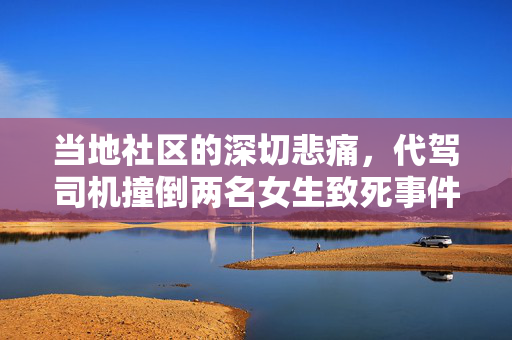 当地社区的深切悲痛，代驾司机撞倒两名女生致死事件的社会反响与反思
