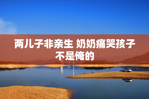 两儿子非亲生 奶奶痛哭孩子不是俺的