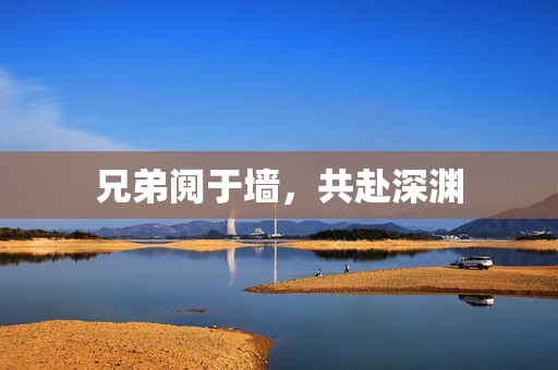 兄弟阋于墙，共赴深渊