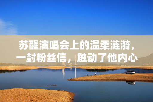 苏醒演唱会上的温柔涟漪，一封粉丝信，触动了他内心的柔软