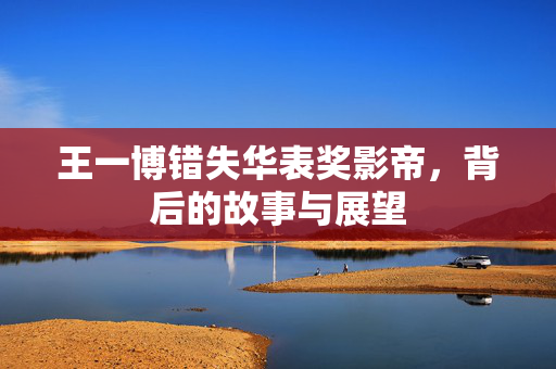 王一博错失华表奖影帝，背后的故事与展望