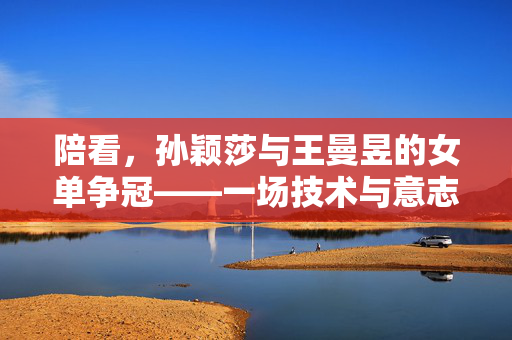 陪看，孙颖莎与王曼昱的女单争冠——一场技术与意志的较量