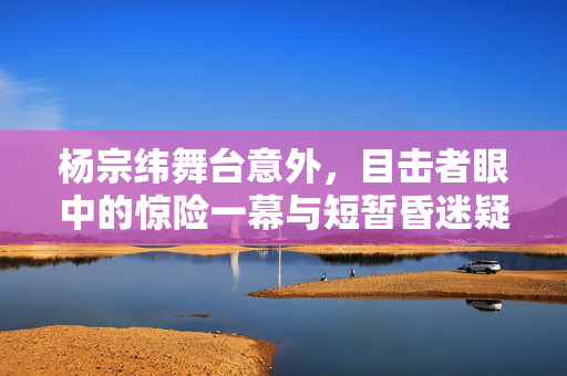 杨宗纬舞台意外，目击者眼中的惊险一幕与短暂昏迷疑云