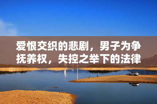 爱恨交织的悲剧，男子为争抚养权，失控之举下的法律与人性考量