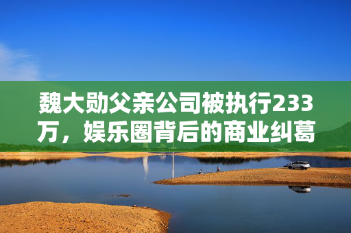 魏大勋父亲公司被执行233万，娱乐圈背后的商业纠葛与家庭影响