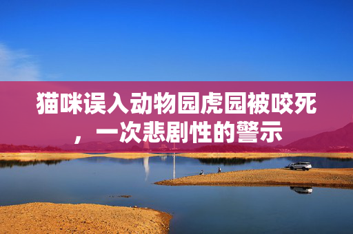 猫咪误入动物园虎园被咬死，一次悲剧性的警示
