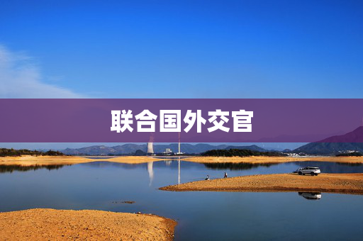 联合国外交官