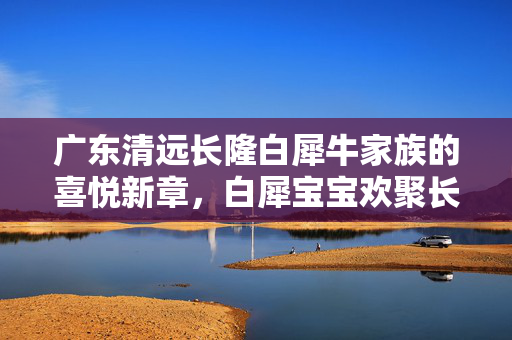 广东清远长隆白犀牛家族的喜悦新章，白犀宝宝欢聚长隆大家庭