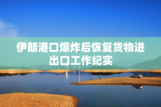 伊朗港口爆炸后恢复货物进出口工作纪实