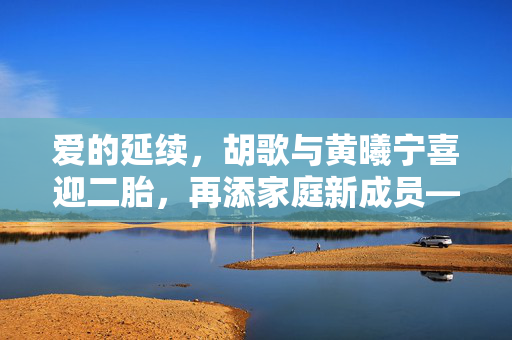 爱的延续，胡歌与黄曦宁喜迎二胎，再添家庭新成员——儿子的诞生