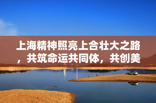 上海精神照亮上合壮大之路，共筑命运共同体，共创美好未来