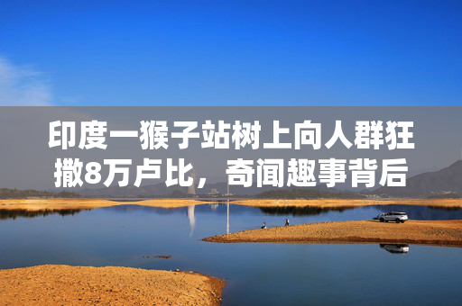 印度一猴子站树上向人群狂撒8万卢比，奇闻趣事背后的社会与文化反思