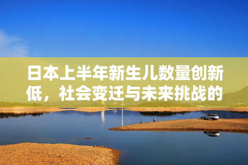 日本上半年新生儿数量创新低，社会变迁与未来挑战的深刻反思