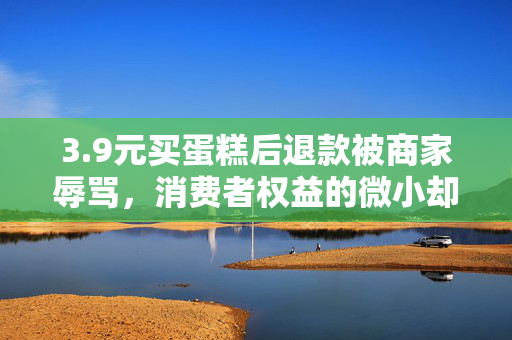 3.9元买蛋糕后退款被商家辱骂，消费者权益的微小却不容忽视的挑战