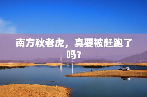 南方秋老虎，真要被赶跑了吗？