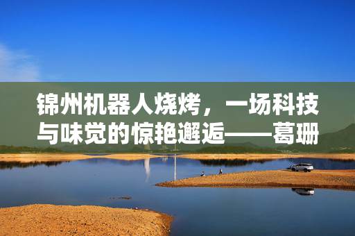 锦州机器人烧烤，一场科技与味觉的惊艳邂逅——葛珊珊的味蕾奇遇