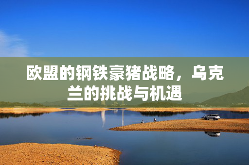 欧盟的钢铁豪猪战略，乌克兰的挑战与机遇