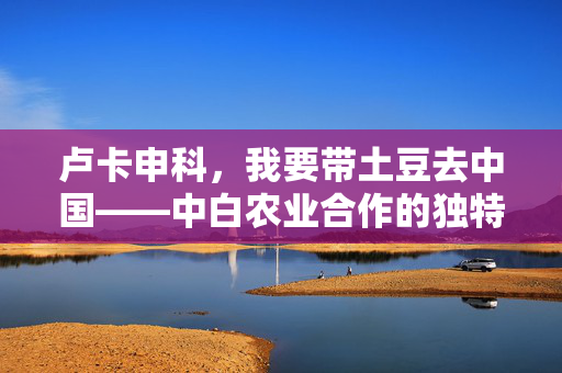 卢卡申科，我要带土豆去中国——中白农业合作的独特视角与未来展望