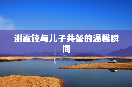 谢霆锋与儿子共餐的温馨瞬间