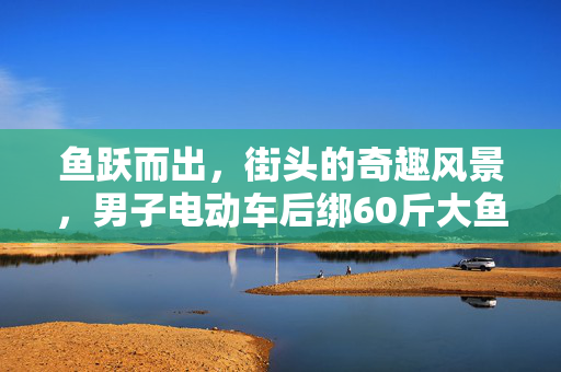 鱼跃而出，街头的奇趣风景，男子电动车后绑60斤大鱼遛街展示
