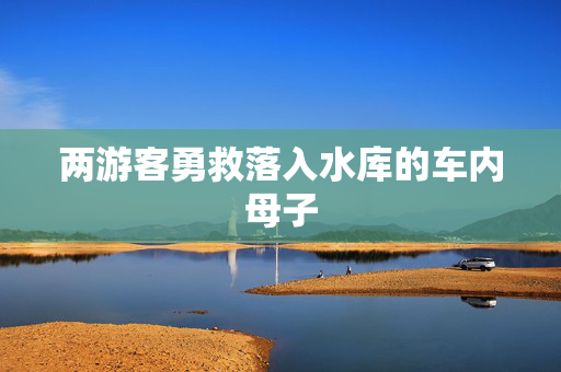 两游客勇救落入水库的车内母子