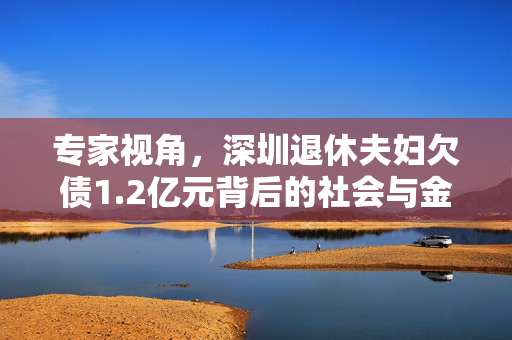 专家视角，深圳退休夫妇欠债1.2亿元背后的社会与金融启示