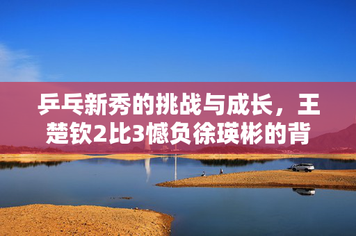 乒乓新秀的挑战与成长，王楚钦2比3憾负徐瑛彬的背后故事