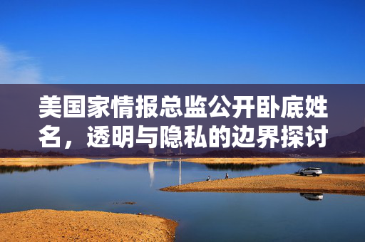 美国家情报总监公开卧底姓名，透明与隐私的边界探讨