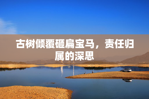 古树倾覆砸扁宝马，责任归属的深思