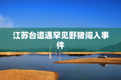江苏台遭遇罕见野猪闯入事件