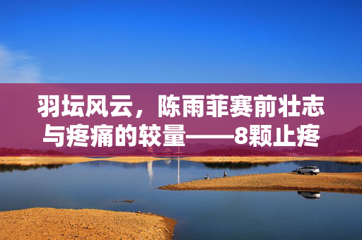 羽坛风云，陈雨菲赛前壮志与疼痛的较量——8颗止疼药背后的坚韧与梦想